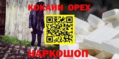 шишки Дубна