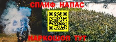 шишки Дубна