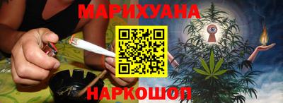 шишки Дубна