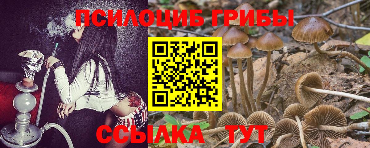Псилоцибиновые грибы прущие грибы Михайловка